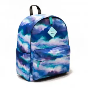 Рюкзак школьный ErichKrause 19L EasyLine Style Aurora Borealis