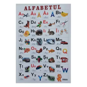 Alfabet carton Roman 64×47